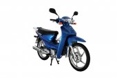 2012 Mondial Cup 100 MFH photo